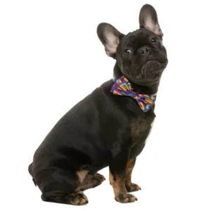 15% OFF: FuzzYard Highscore Bow Tie