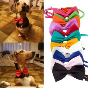 Elegant Formal Pet Bow Tie Collar for Stylish Occasions