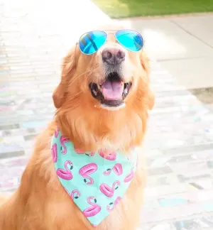 Flamingo Bandanas with Your Dogs Name