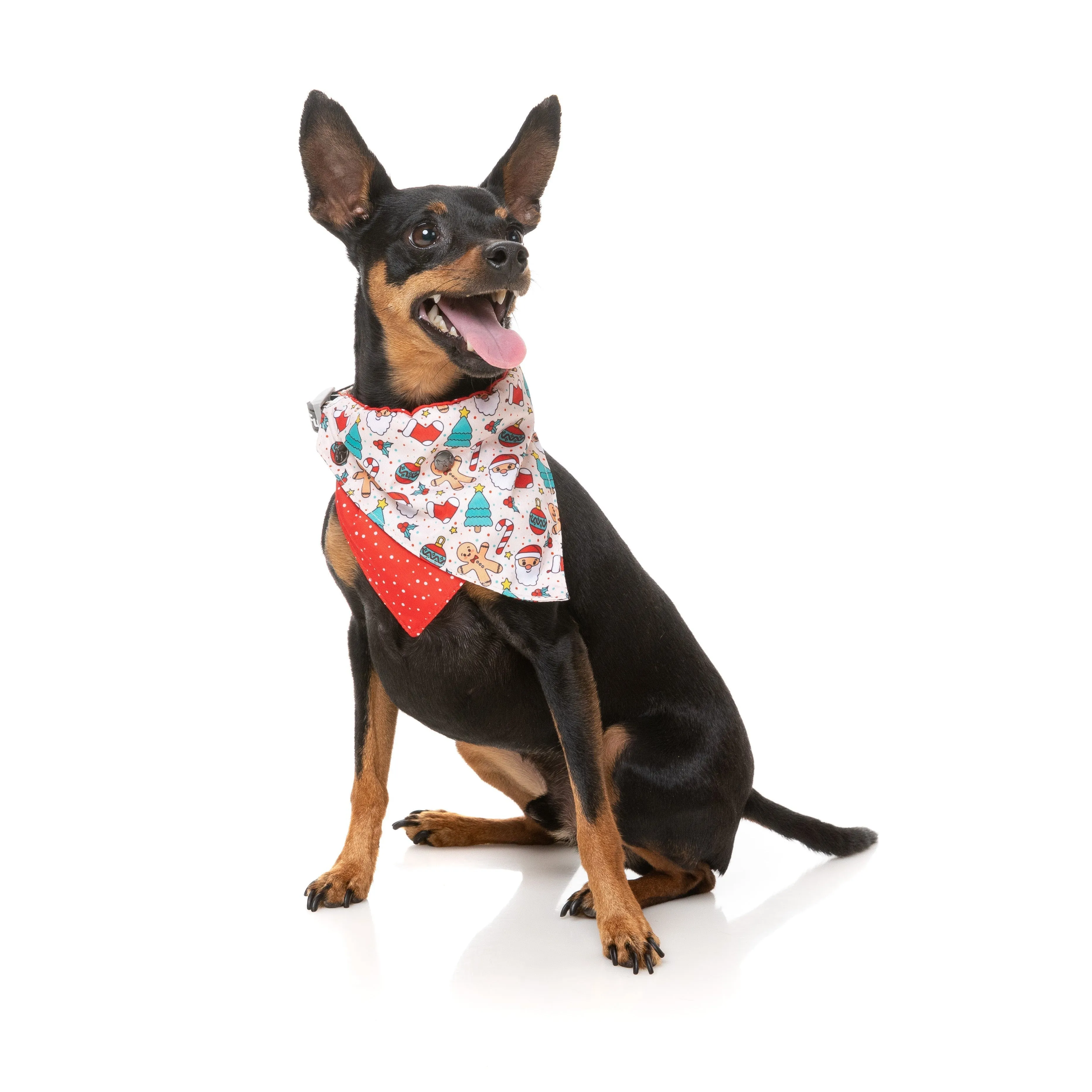 FuzzYard Christmas Tinsel Time Dog Bandana and Bow Tie Set Medium to Large