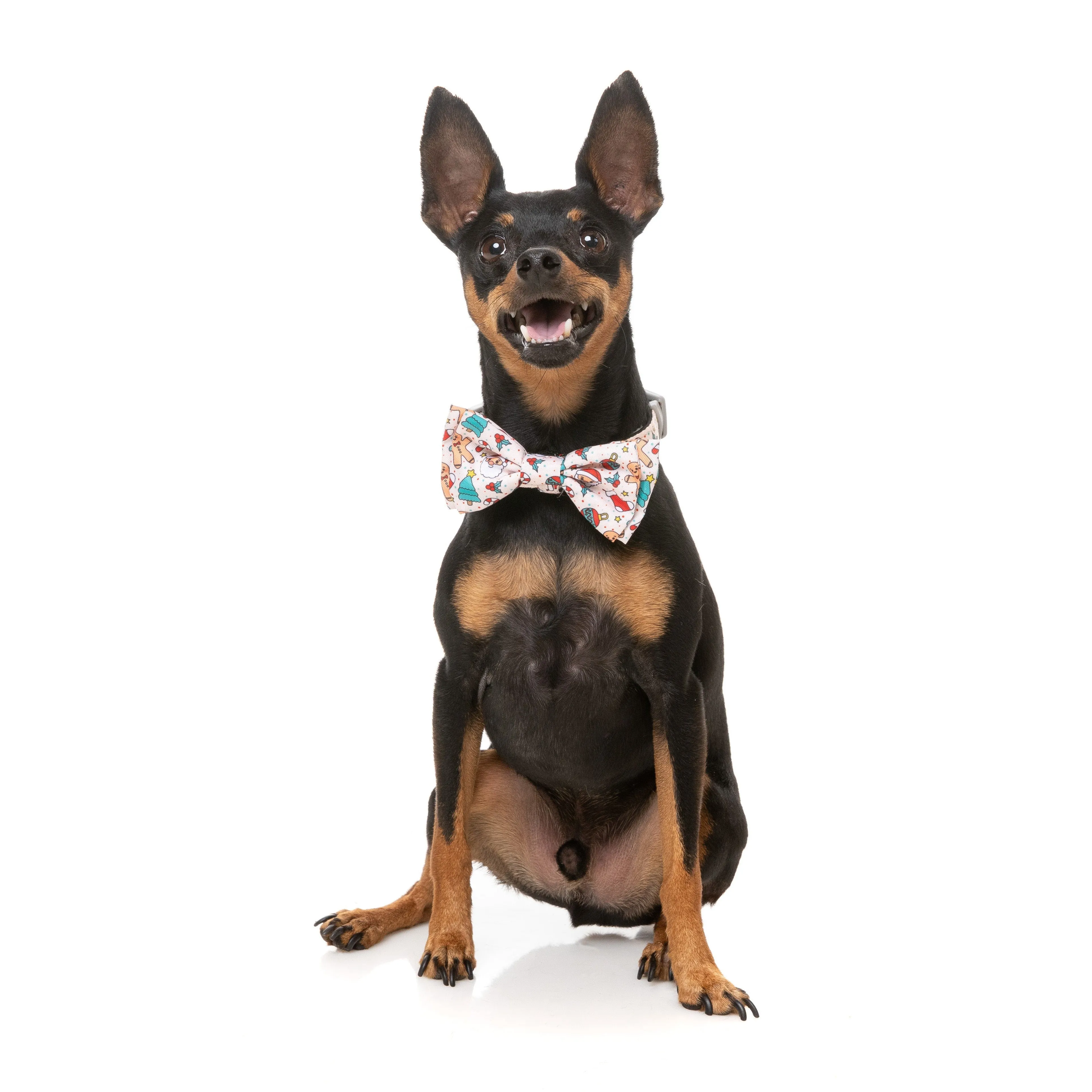 FuzzYard Christmas Tinsel Time Dog Bandana and Bow Tie Set Medium to Large