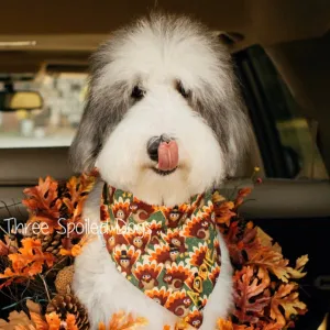 SOLD OUT - Thanksgiving Turkey Dog Bandana