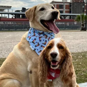 Texas Rodeo Boots Dog Bandana